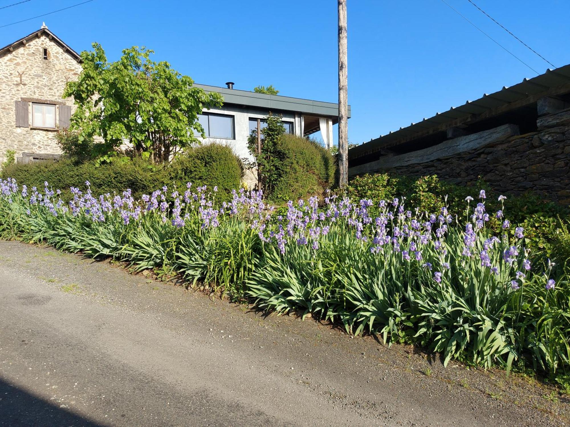Bed and Breakfast Louradou-Sur-Ciel Jouqueviel Exterior foto
